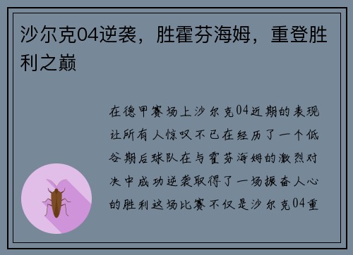 沙尔克04逆袭，胜霍芬海姆，重登胜利之巅