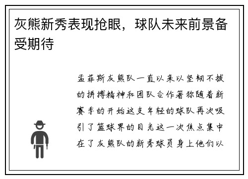 灰熊新秀表现抢眼，球队未来前景备受期待